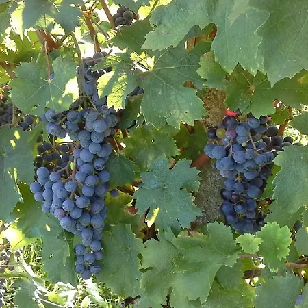 Le Giarine فندق مبيت وإفطار 3*