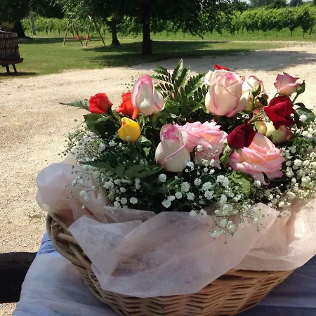 فندق مبيت وإفطار Le Giarine